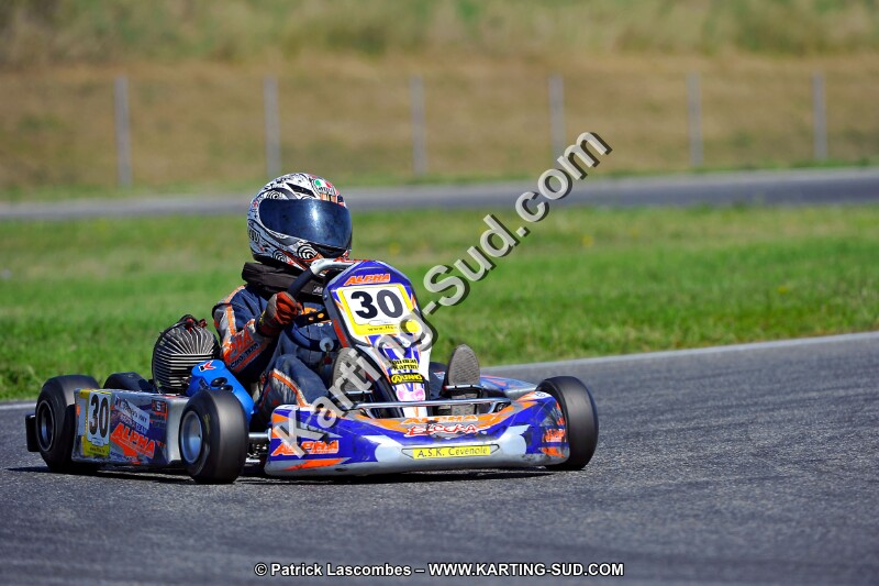 DSC_ (1342).jpg